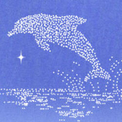 Dolphin