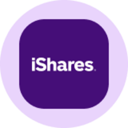 iShares Core MSCI EAFE ETF (Ondo Tokenized ETF)
