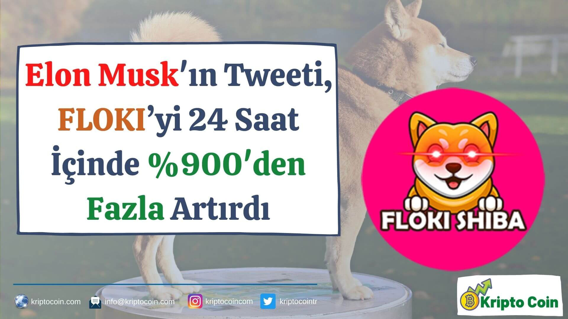 Elon Musk'ın Tweeti, FLOKI’yi 24 Saat İçinde %900'den Fazla Artırdı