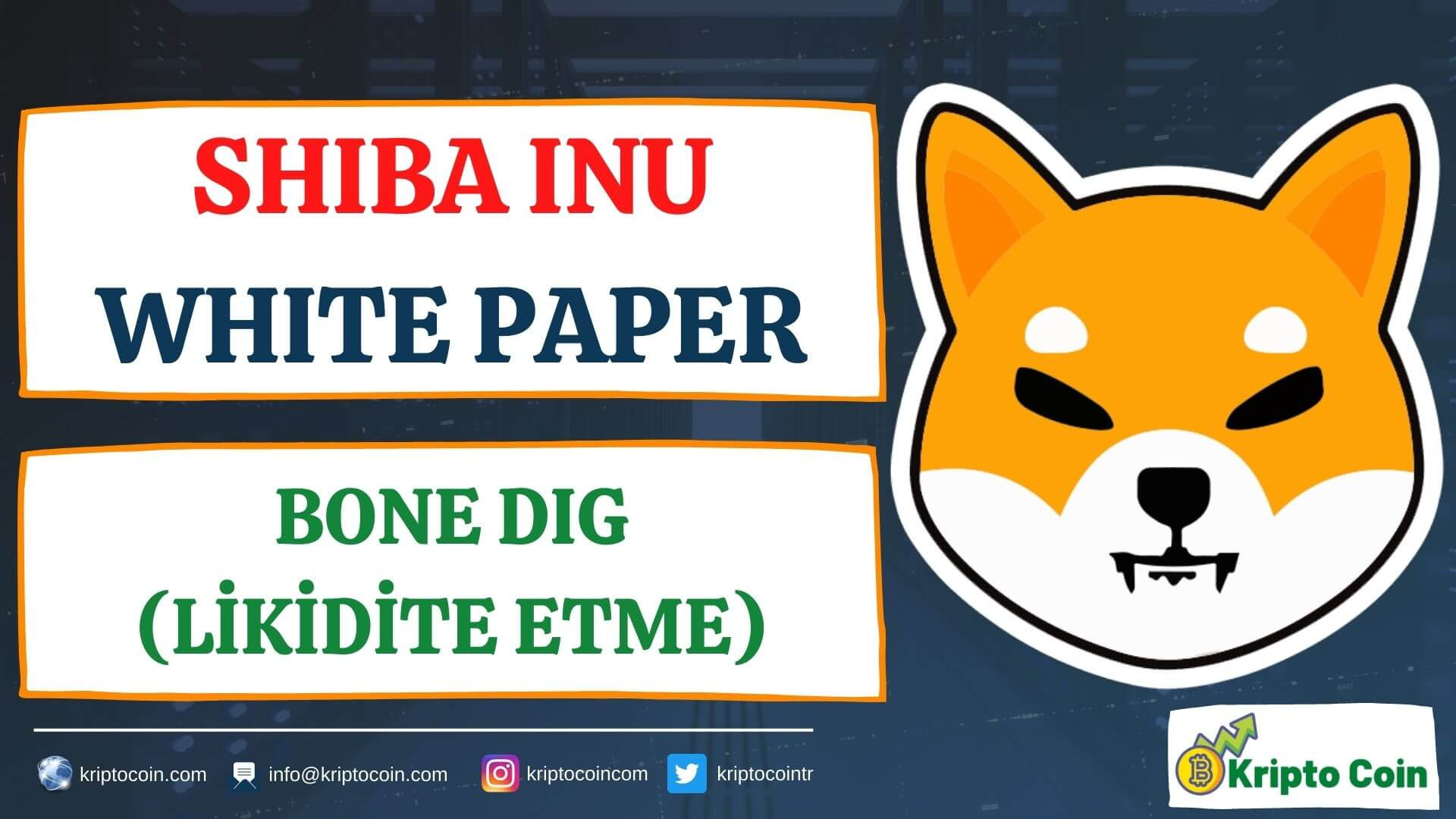 SHIBA INU White Paper 19 - Bone Dig (Likidite Sağlama)