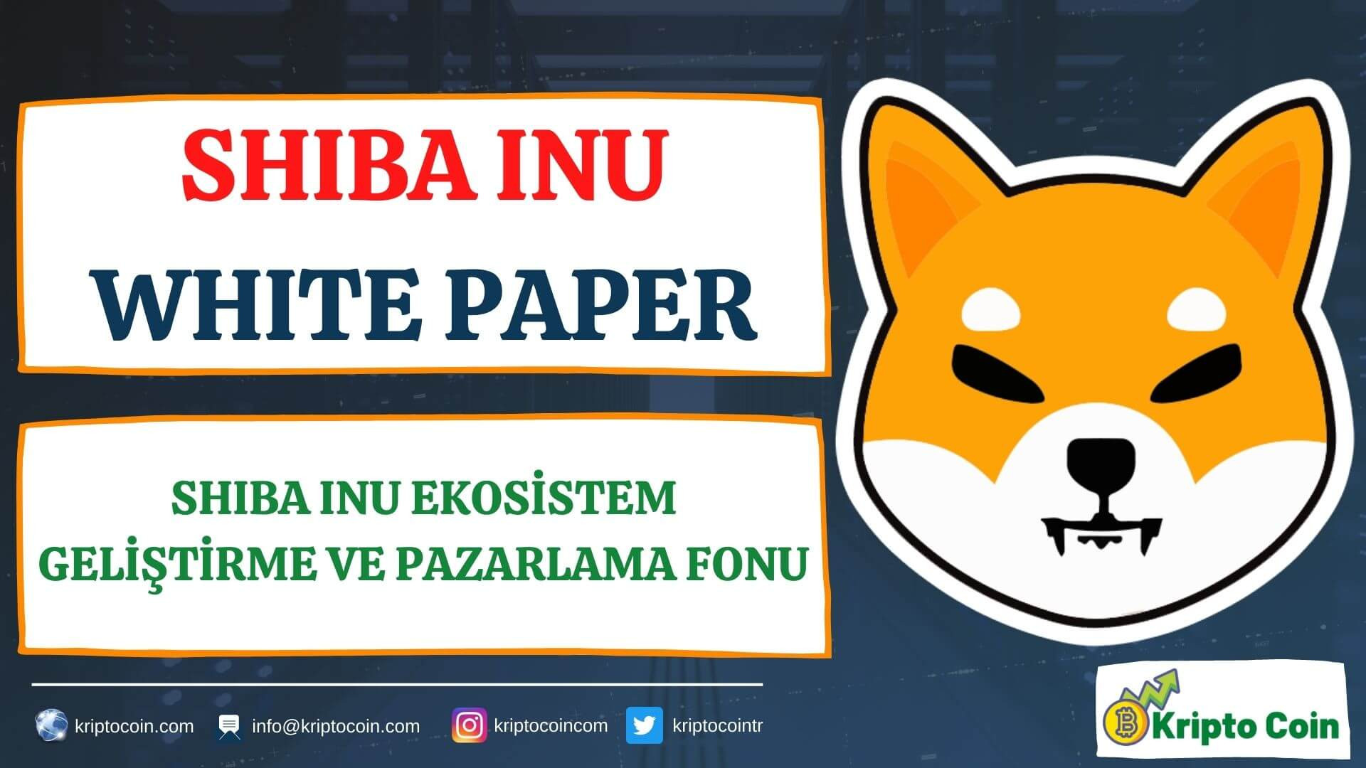SHIBA INU White Paper 21 - Shiba Inu Ekosistem Geliştirme ve Pazarlama Fonu