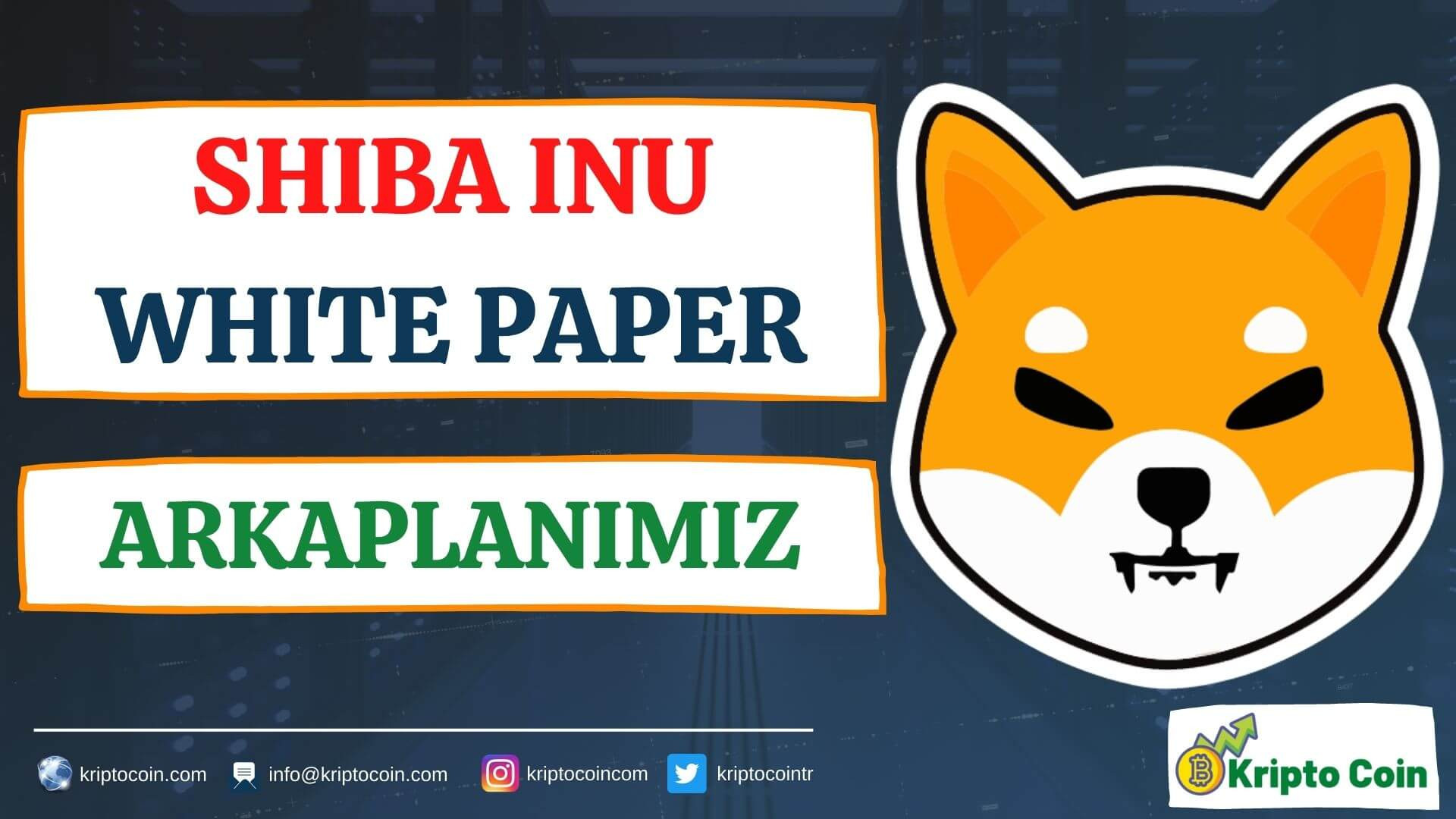 SHIBA INU White Paper 03 - Arkaplanımız