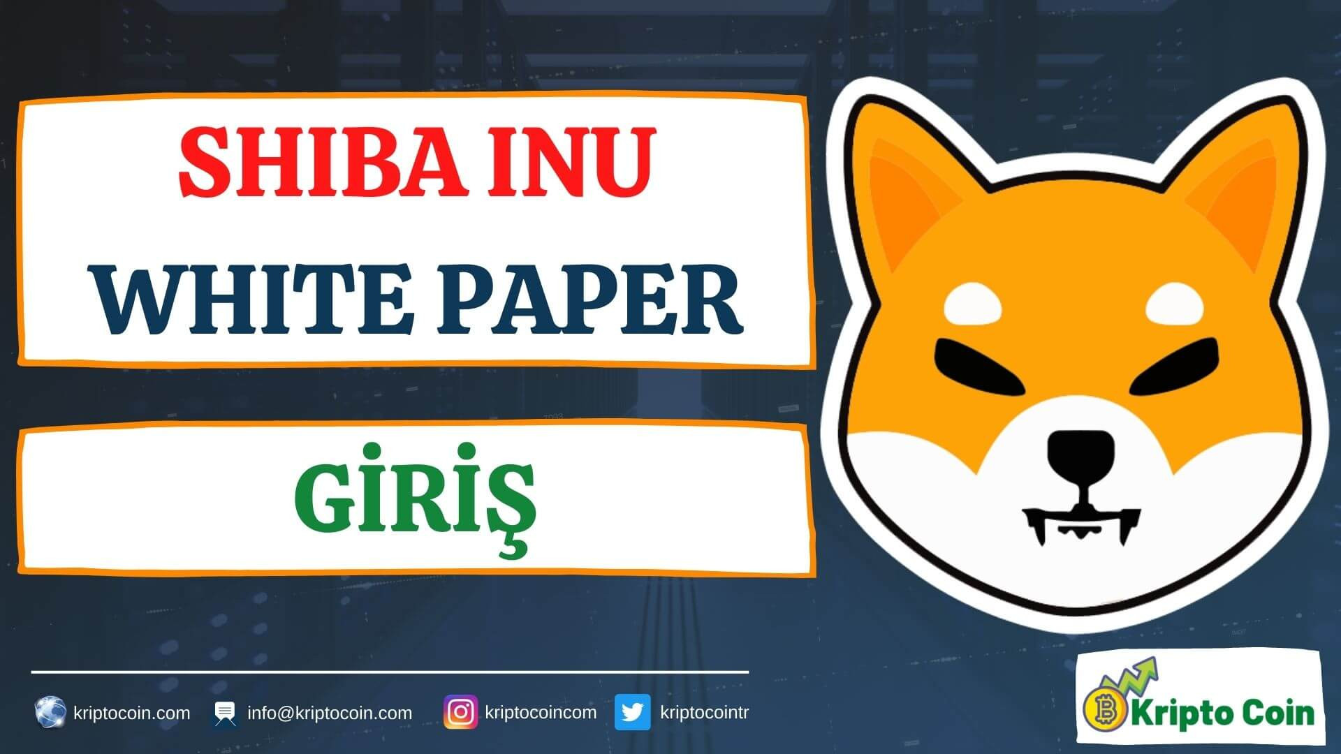 Shiba Inu White Paper