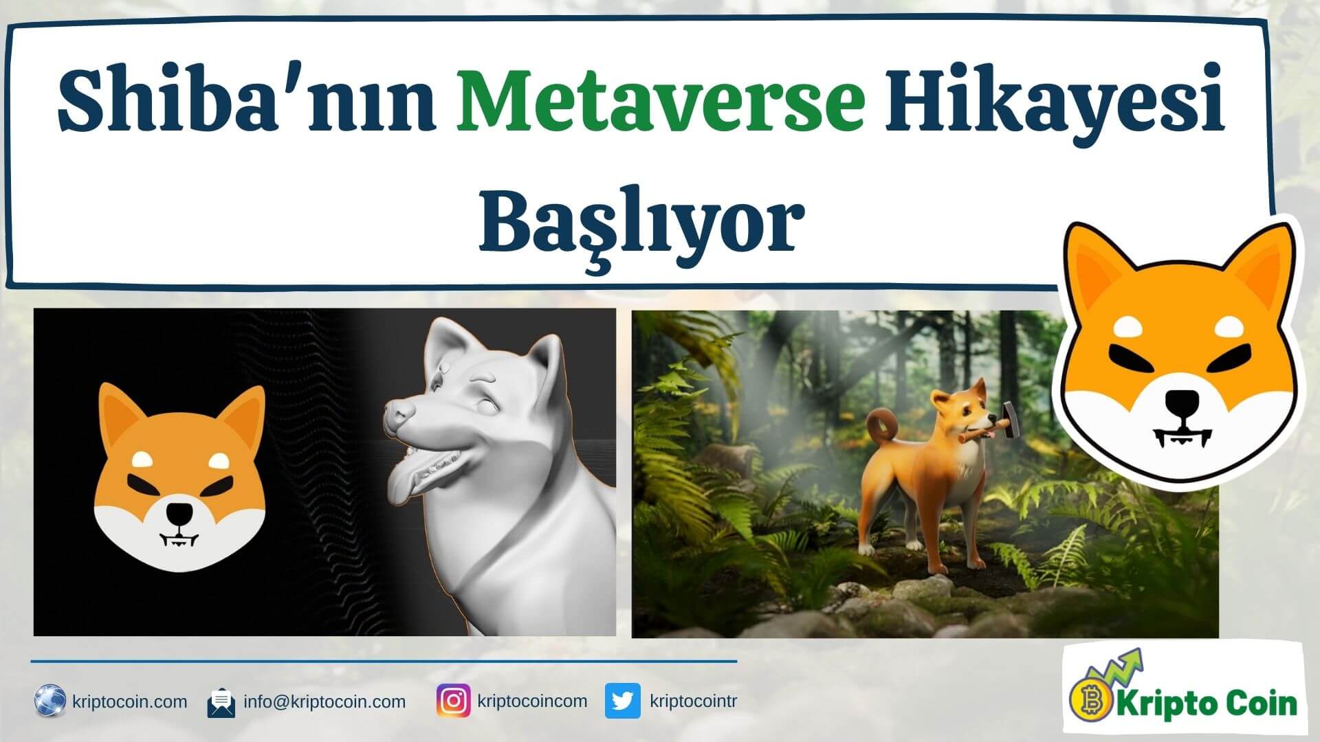 Shiba'nın Metaverse Hikayesi Başlıyor