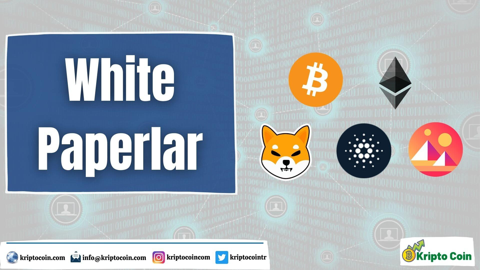 WhitePaperlar