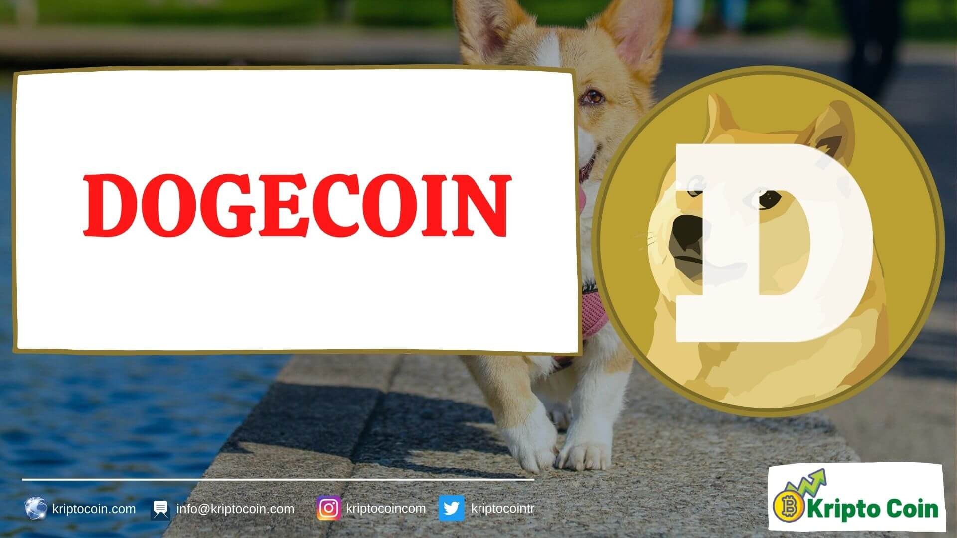 Dogecoin