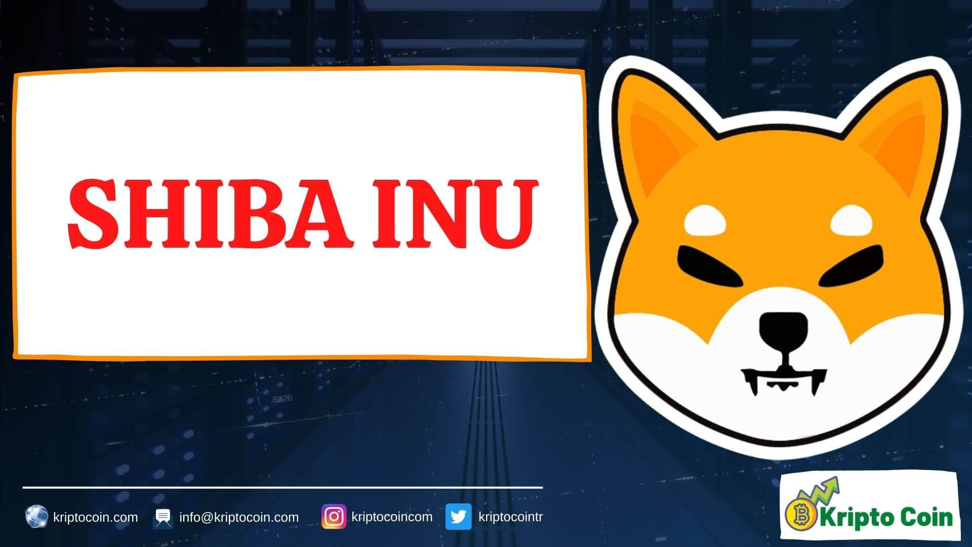 Shiba Inu